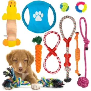 Jucarii interactive de mestecat pentru caini, materiale de calitate pentru sanatatea dentara animalelor de companie, sigure pentru toate rasele, Set de 10, Fish & Paws ®